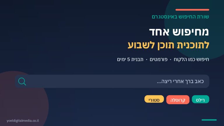שורת החיפוש באינסטגרם כבסיס לתוכנית תוכן שבועית